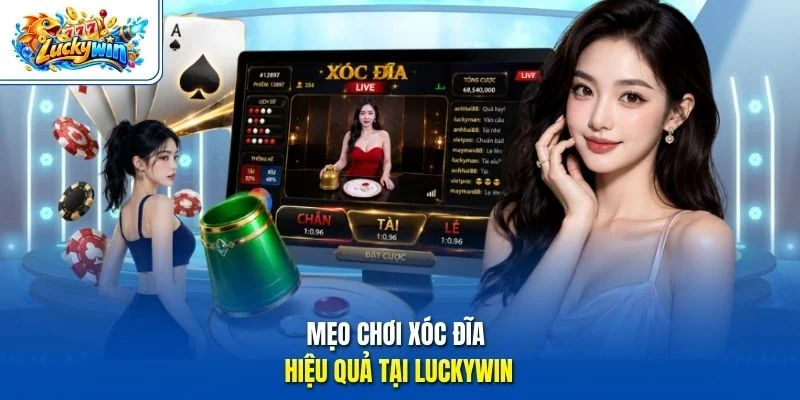 Mẹo chơi xóc đĩa hiệu quả tại Luckywin 